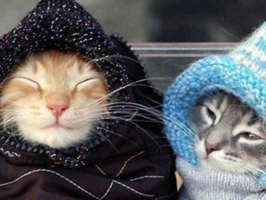 В Запорожье идет похолодание