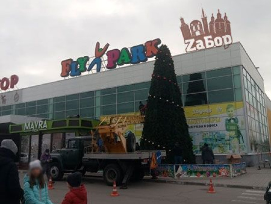 В Запорожье на улицах начали устанавливать новогодние елки