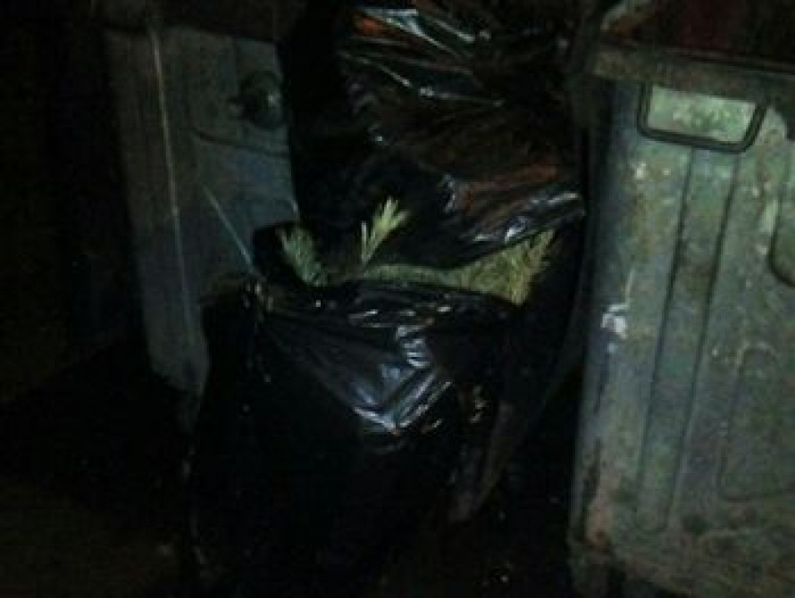 Запорожье встретит Новый год серией выходных и сокращенных робочих дней