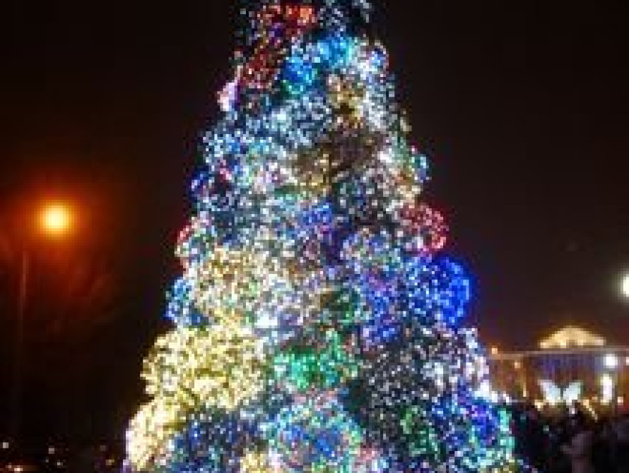 В Запорожской области правопорядок в новогоднюю ночь обеспечат 600 правоохранителей