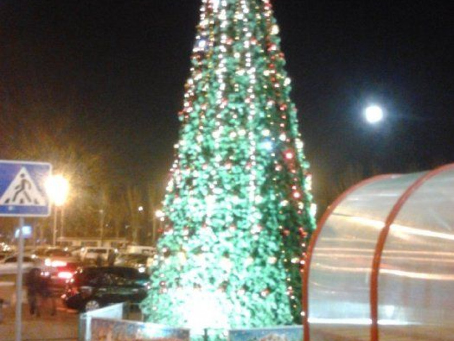 Рейтинг главных ёлок в Запорожской области: от лучшей к худшей