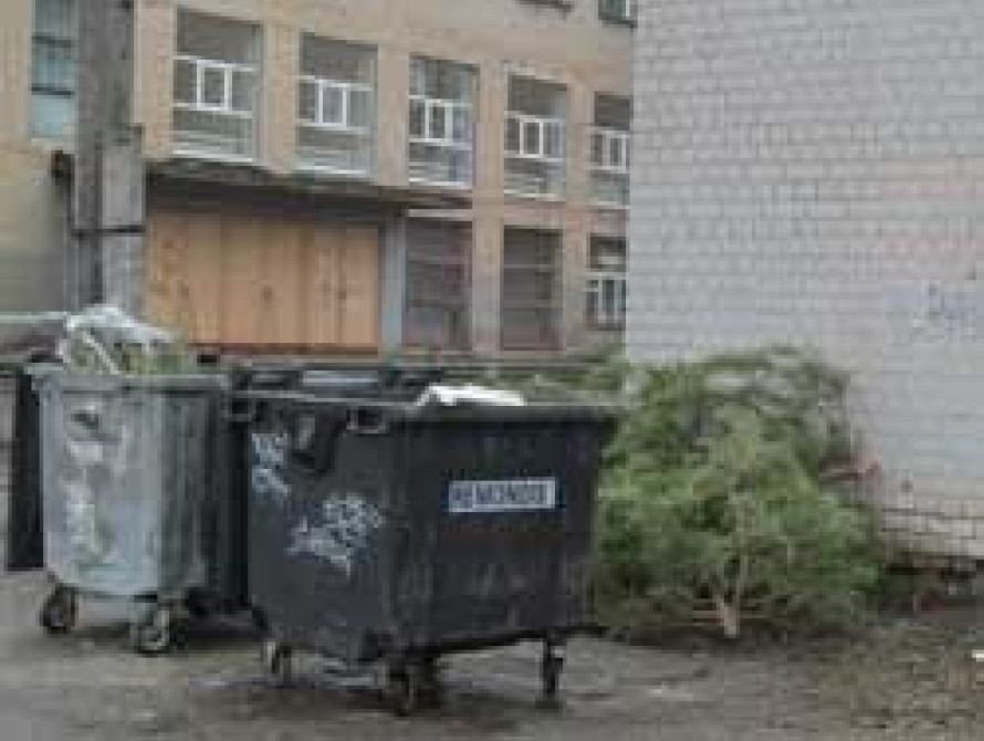 В Запорожье торговцы сбросили за домами нераспроданные ёлки (фото)