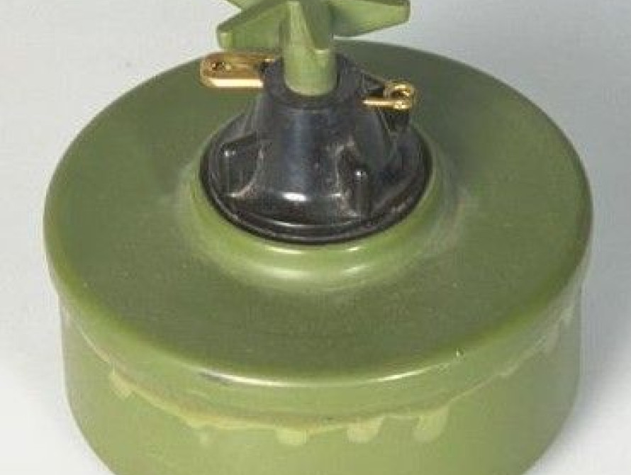 На Запорожском курорте обнаружили мину времен Второй Мировой войны (фото)