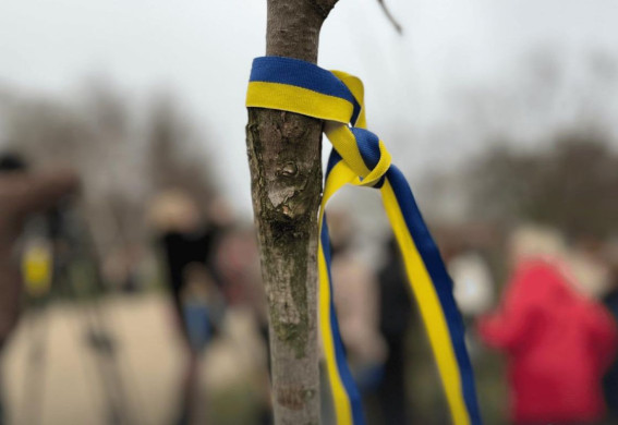 У Запоріжжі висадили понад 50 дерев для створення Алеї Гідності (фото)