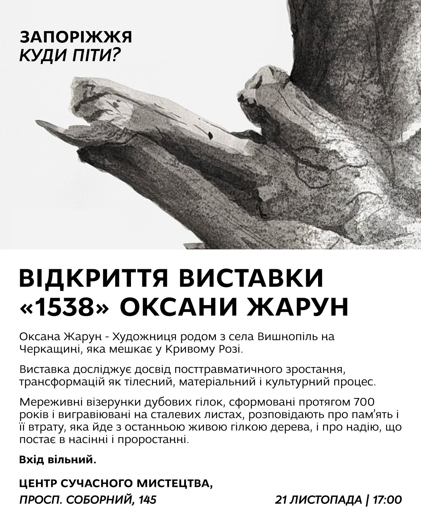 Виставка "1538" Оксани Жарун