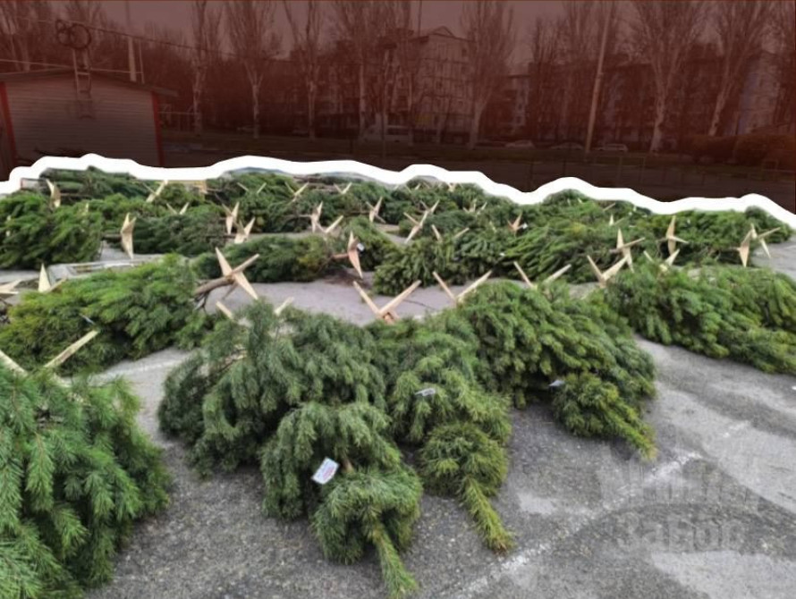 У Запоріжжі запрацював ялинковий базар