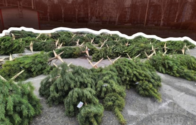 У Запоріжжі розпочинають роботу ялинкові базари (фото)