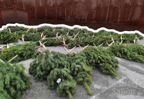 У Запоріжжі розпочинають роботу ялинкові базари (фото)