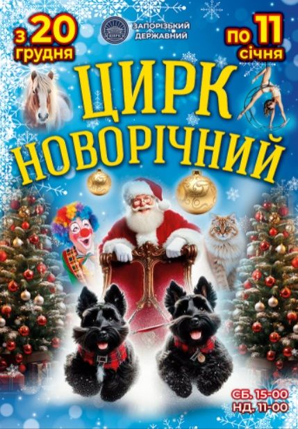 Цирк новорічний