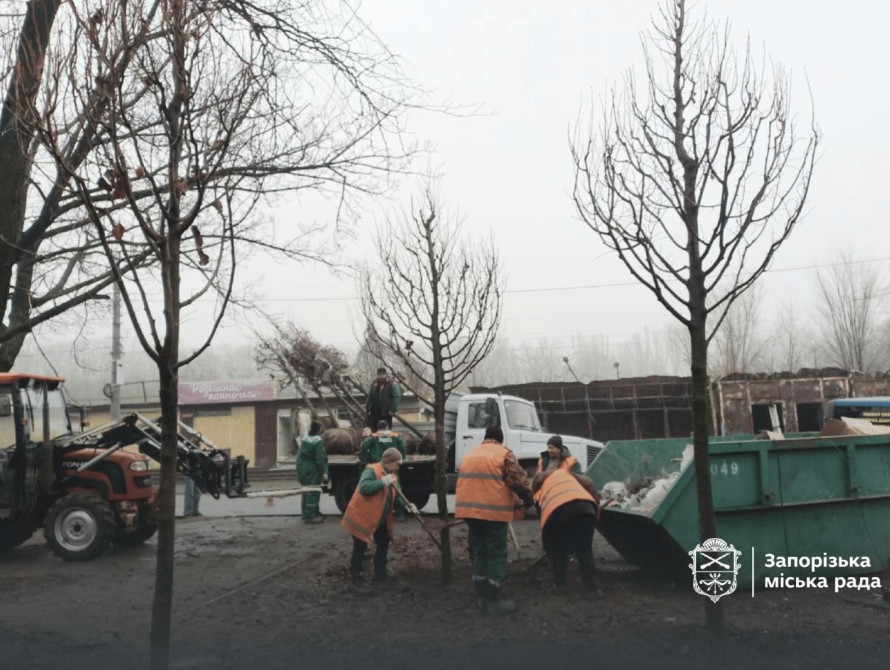 У Запоріжжі висадили липи на місці обстрілу