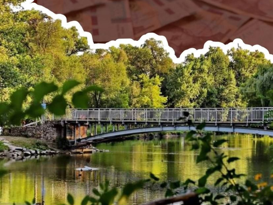 У Дубовому Гаю проведуть інвентаризацію дерев