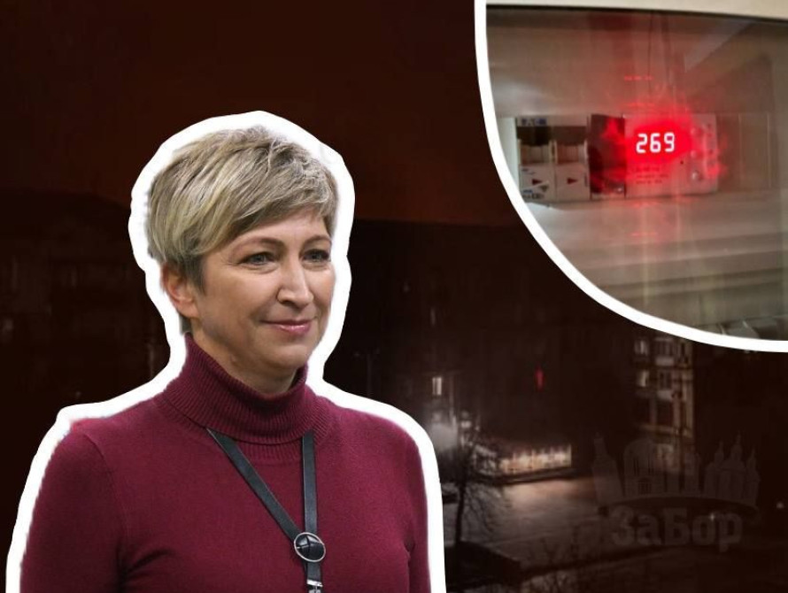 Речниця "Запоріжжяобленерго" Зореслава Цупренко