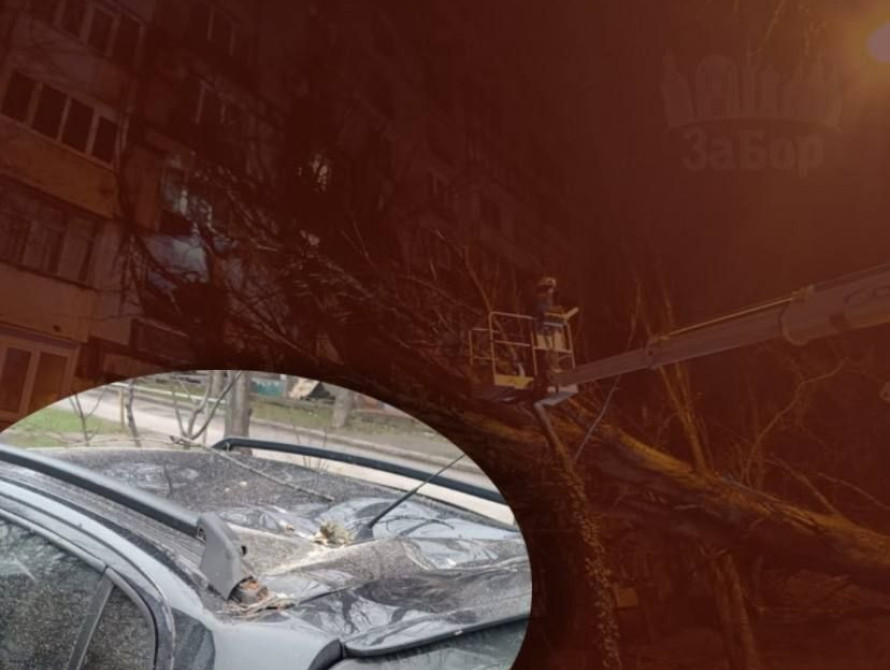 Наслідки падіння дерев у Запоріжжі