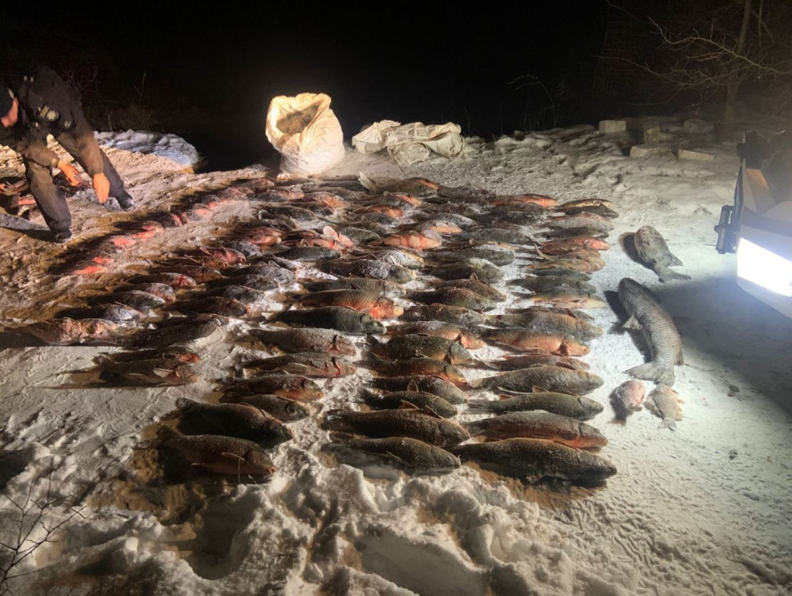 Під Запоріжжям браконьєри виловили 420 кг риби