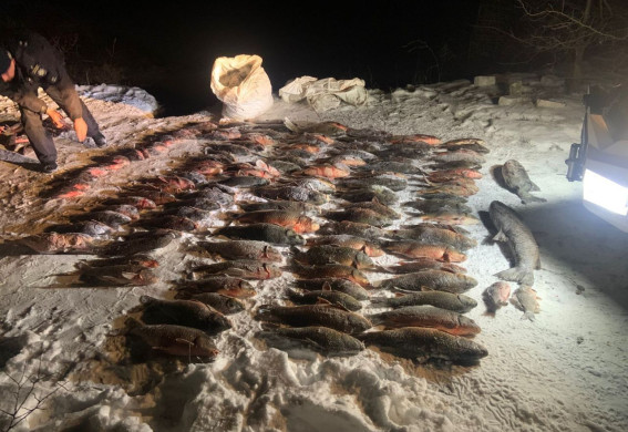 Запорізькі браконьєри виловили риби на понад півмільйона гривень (фото) 