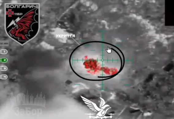 На Запорізькому напрямку підрозділи НГУ за тиждень завдали кількасот ударів по позиціях росіян (відео)