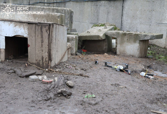 У Запоріжжі виявили залишки російського дрона: працювали сапери (фото, відео)