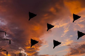 У Запоріжжі внаслідок атаки дронів загинула жінка, пошкоджені будинки (відео)