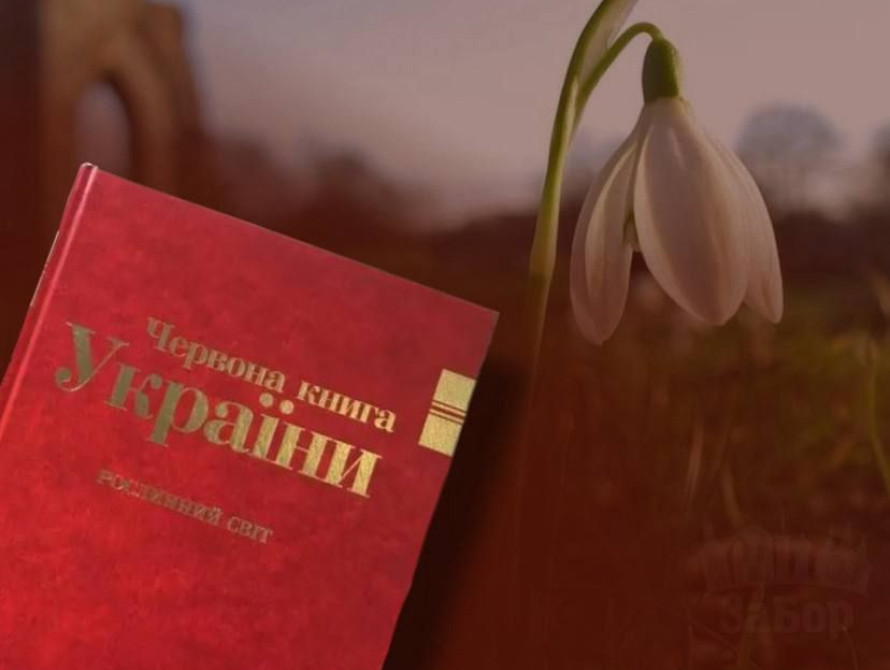 У Запоріжжі охоронятимуть квіти