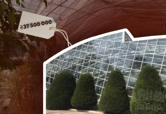 Ботанічний сад у Запоріжжі під підозрою у можливій розтраті 3-5 млн грн