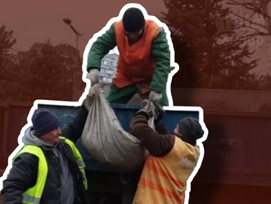 Колаж: Зеленбуд