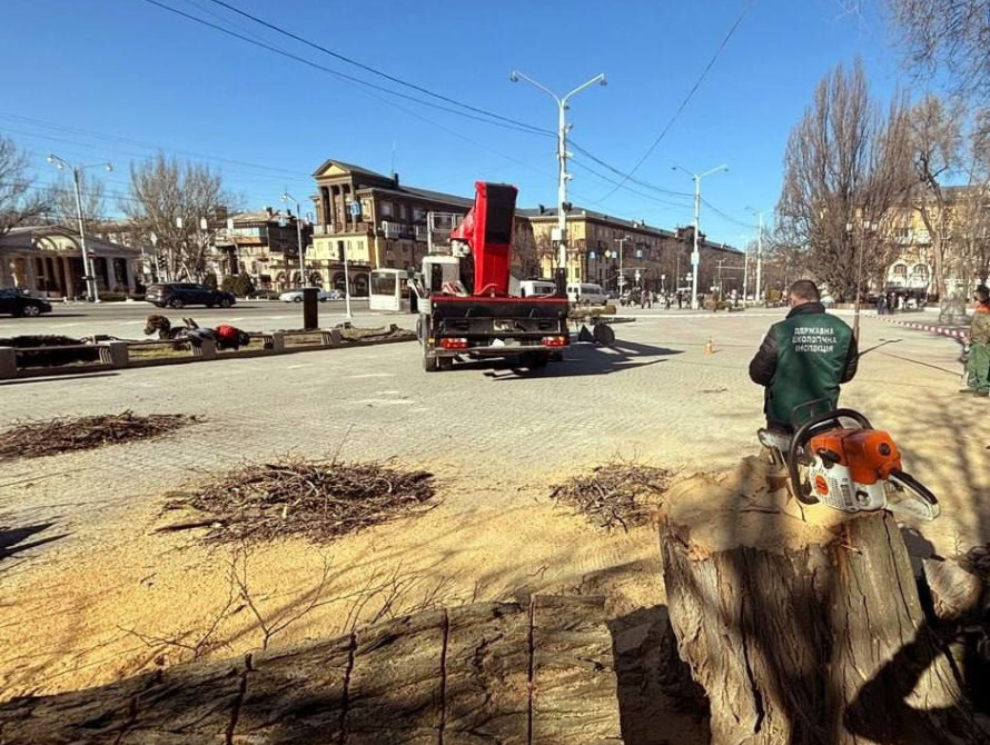 Обрізка дерев на майдані Митців