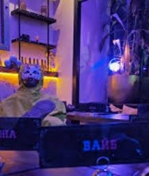 "Nice Vibe" (простір)