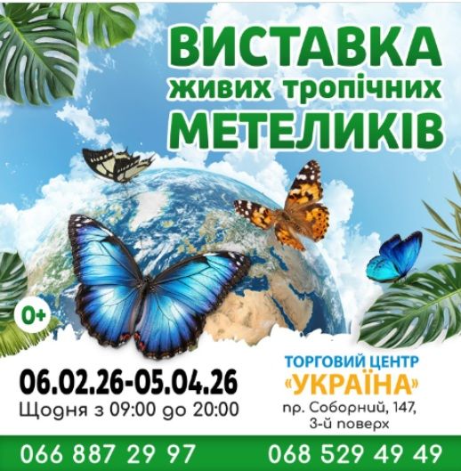 Виставка живих тропічних метеликів