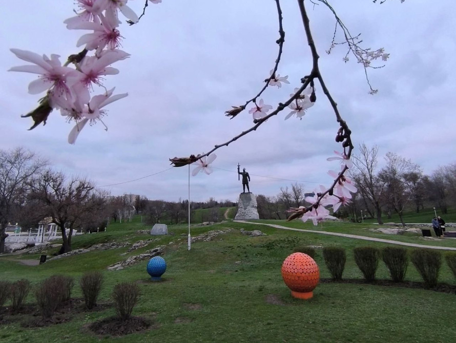 Квіти на деревах у Запоріжжі