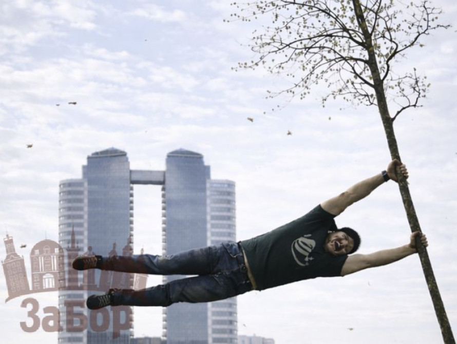 Пориви вітру гнуть дерева