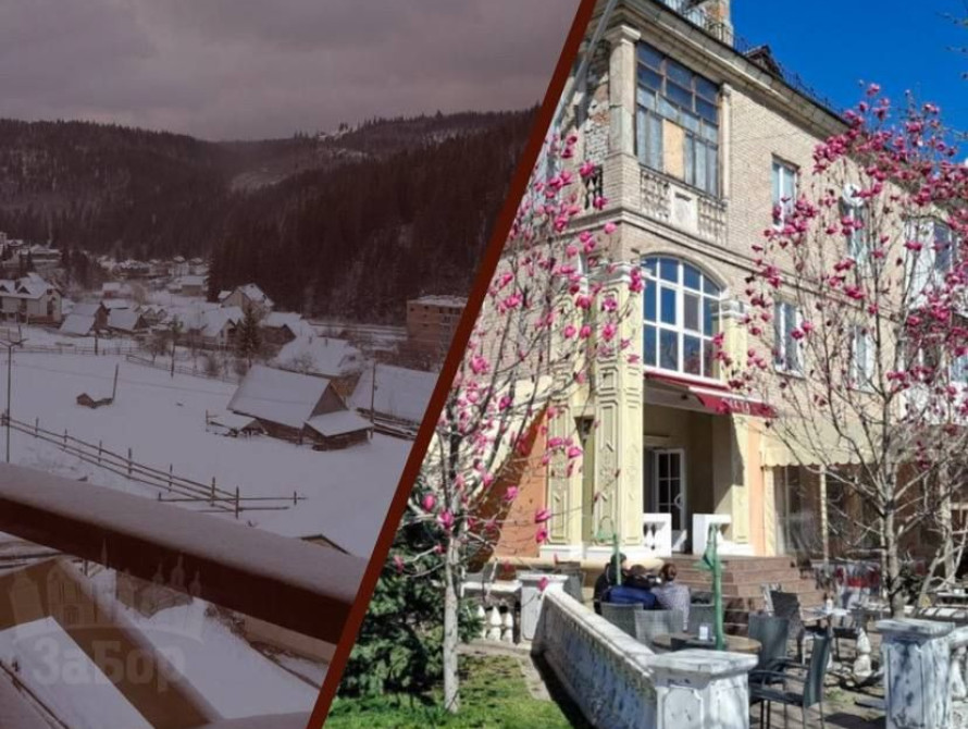 Колаж: засніжений Буковель та цвітіння магнолії у Запоріжжі