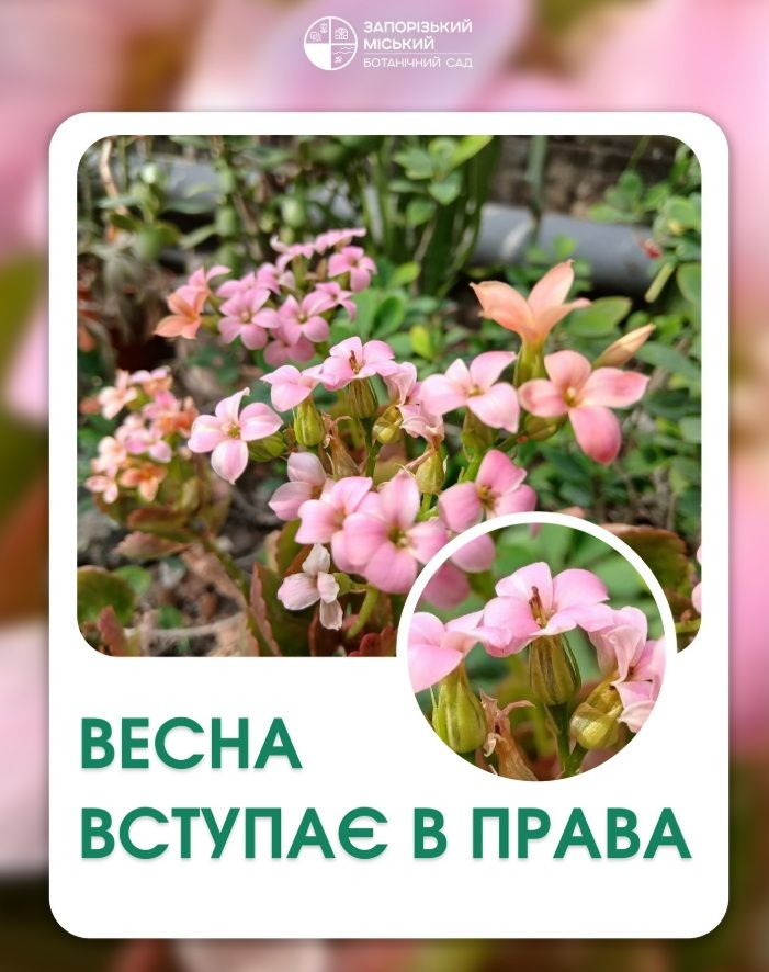 Екскурсії до Запорізького міського дитячого ботанічного саду