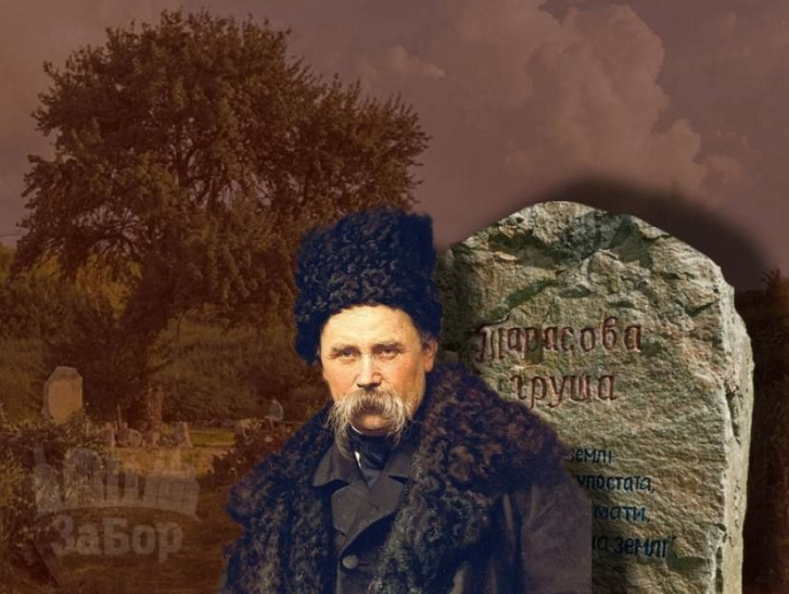 Колаж: Тарасова груша у Запоріжжі