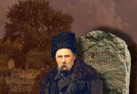 У Запоріжжі розквітла груша, під якою ночував Шевченко (відео)