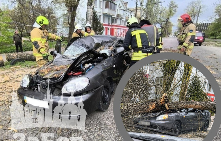 Жертви негоди у Запоріжжі: дерево розчавило авто на дорозі, водій загинув на місці (фото, відео)