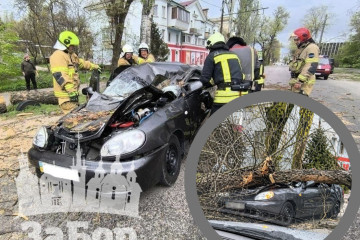 Жертви негоди у Запоріжжі: дерево розчавило авто на дорозі, водій загинув на місці (фото, відео)