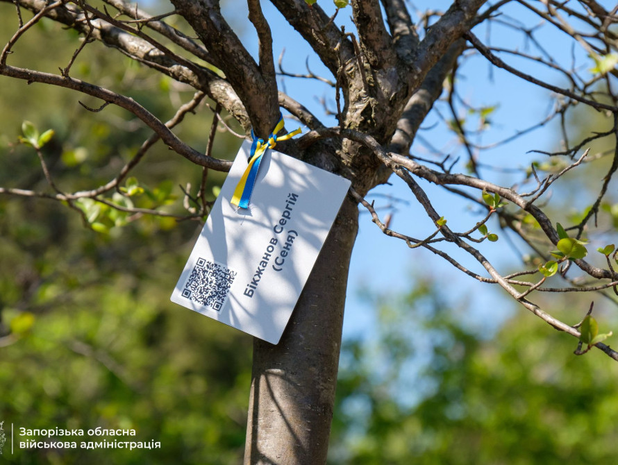 Висаджені дерева у парку Честі на Хортиці