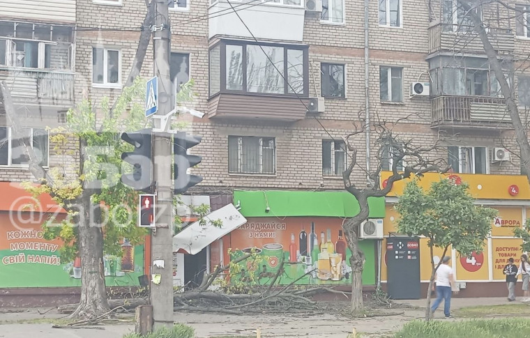 Запоріжжя накрила сильна негода: масовий деревопад, пошкоджені будинки, магазини, є затримки транспорту (фото, відео)