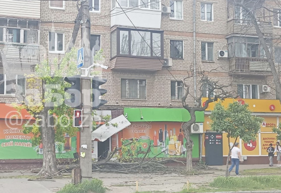 Запоріжжя накрила сильна негода: масовий деревопад, пошкоджені будинки, магазини, є затримки транспорту (фото, відео)