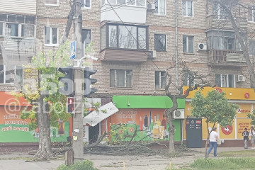 Запоріжжя накрила сильна негода: масовий деревопад, пошкоджені будинки, магазини, є затримки транспорту (фото, відео)