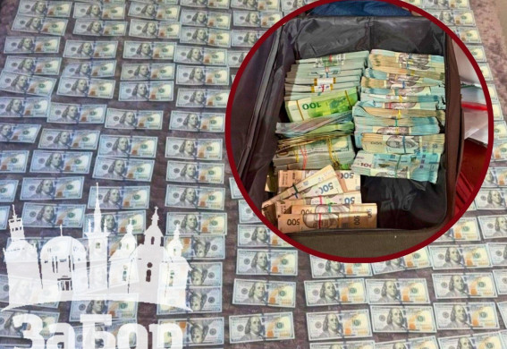 У Запоріжжі двох посадовців підозрюють у розтраті понад 1,1 млн грн на послугах для безпритульних тварин