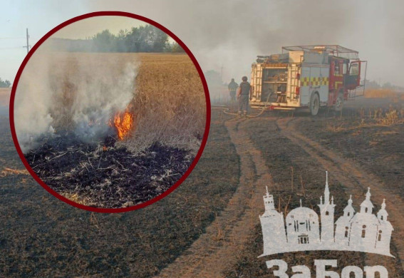 Понад 10 гектарів у вогні: під Запоріжжям третю добу тривають масштабні пожежі (фото, відео)