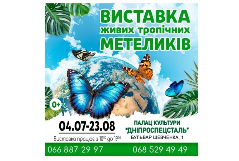 Виставка живих тропічних метеликів