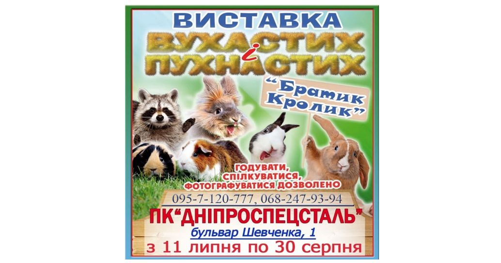 Виставка вухастих і пухнастих