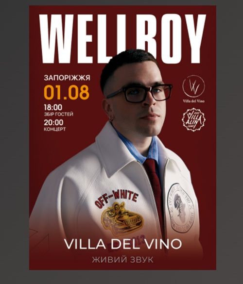 Концерт WellBoy'а