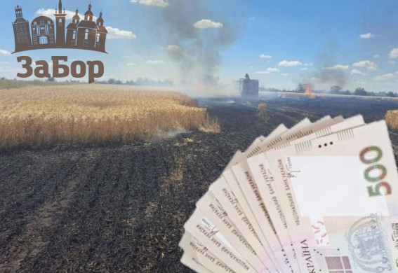 Понад 31,9 млрд грн збитків: бойові дії завдали масштабної шкоди земельним ресурсам Запорізької області