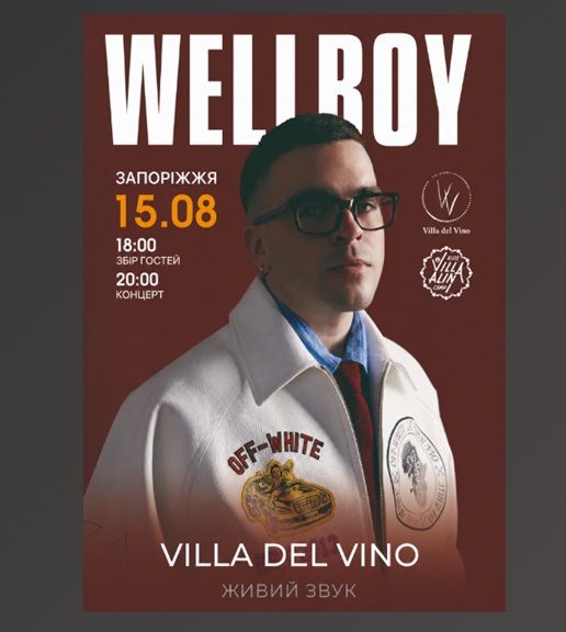 Концерт WellBoy'а