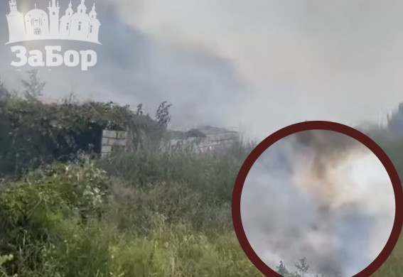 Пожежа з лісу перекинулася на будинки у Розумівці під Запоріжжям: люди самотужки намагаються загасити вогонь (відео)