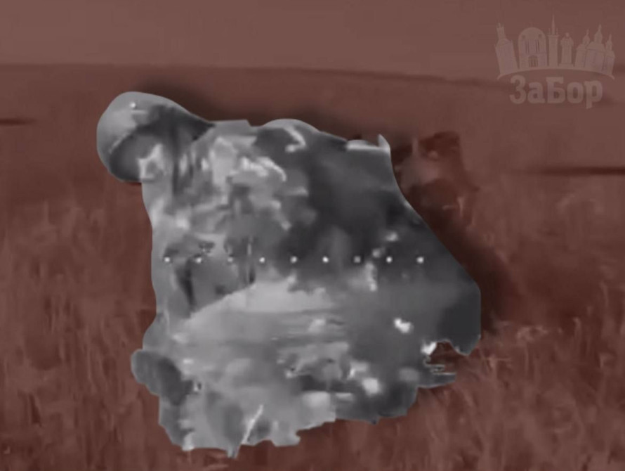 Знищення російського військового дроном на Запорізькому напрямку