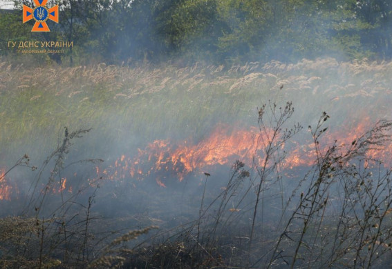 На Запоріжжі за добу сталося 24 пожежі: 13 виникли через обстріли